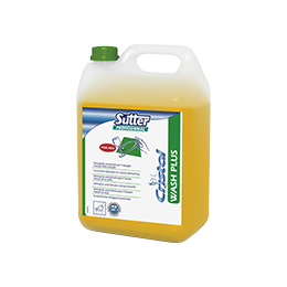 WASH PLUS